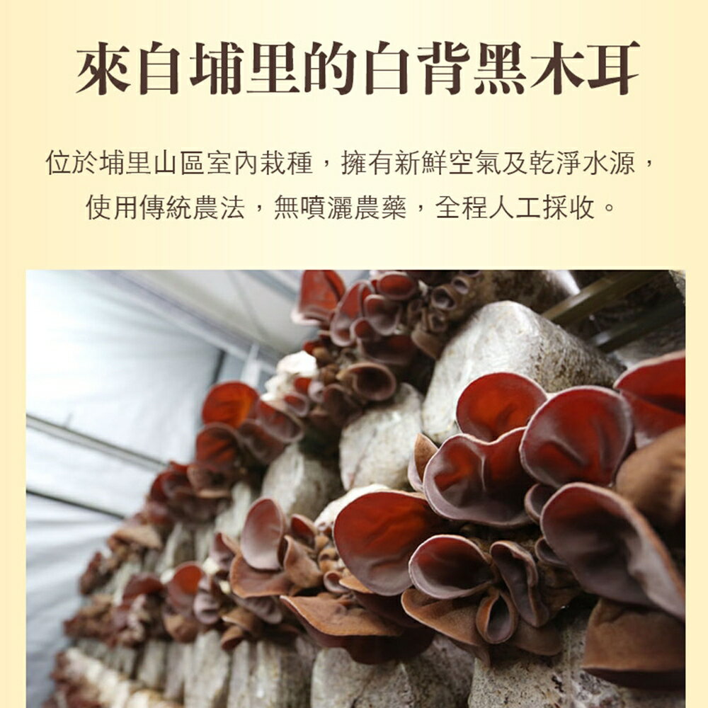 ＵＴＯ｜御湯屋 黑糖黑木耳露 24罐/箱 470ml/罐 台灣公司貨/開立發票 3