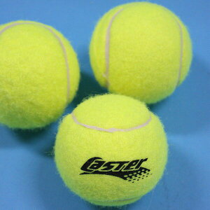 硬式練習網球 一般網球 硬式網球 壁球 毛毛球 MIT製，一個入(定40)