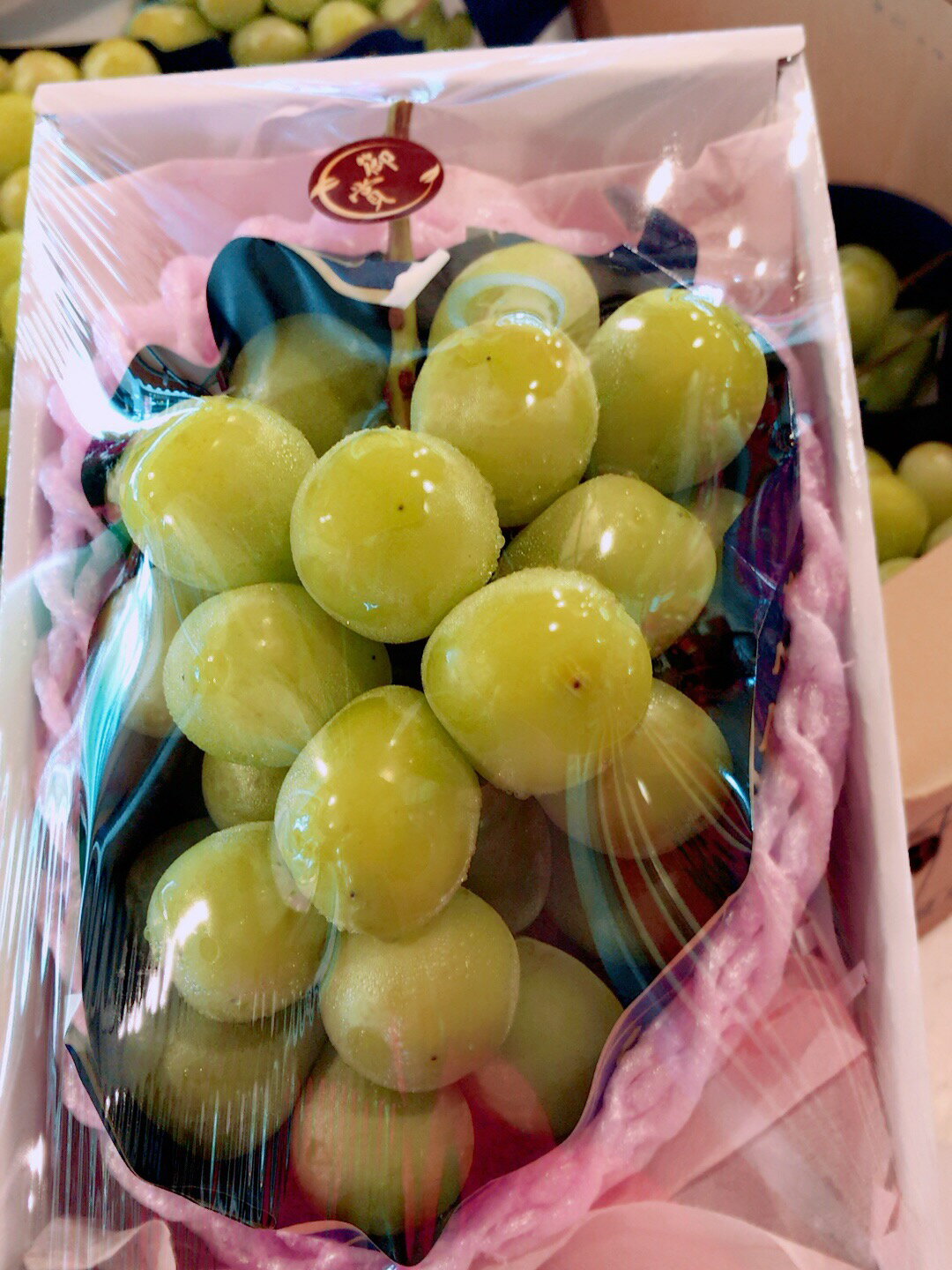 日本山梨縣麝香葡萄保證空運一箱3公斤約5房/單房約600~700g【皇家果物】低溫免運 2