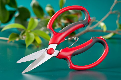 園藝花藝修枝省力剪刀 專業日本不鏽鋼材質 NS-星之花 0