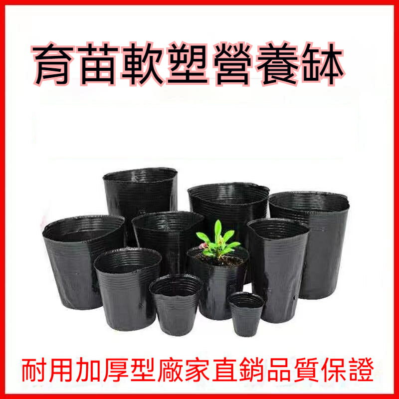 免運 營養袋 育苗袋 一次性小號黑塑膠育苗盆 營養缽 營養杯 育苗杯 特價出 可開發票