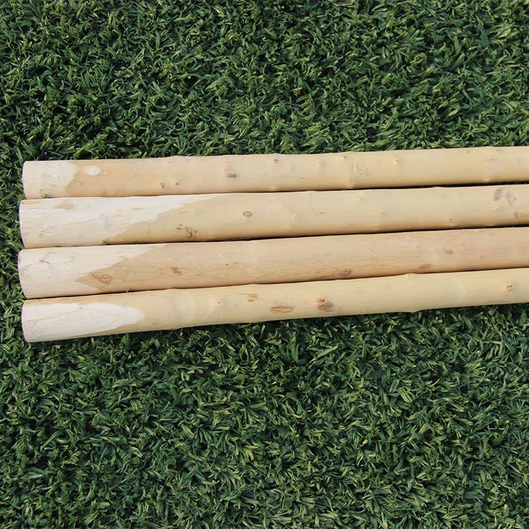 【台灣公司 超低價】帶黃皮白蠟桿武術槍武術棍少林棍齊眉棍太極十三藤棍鞭桿長棍短棍 6