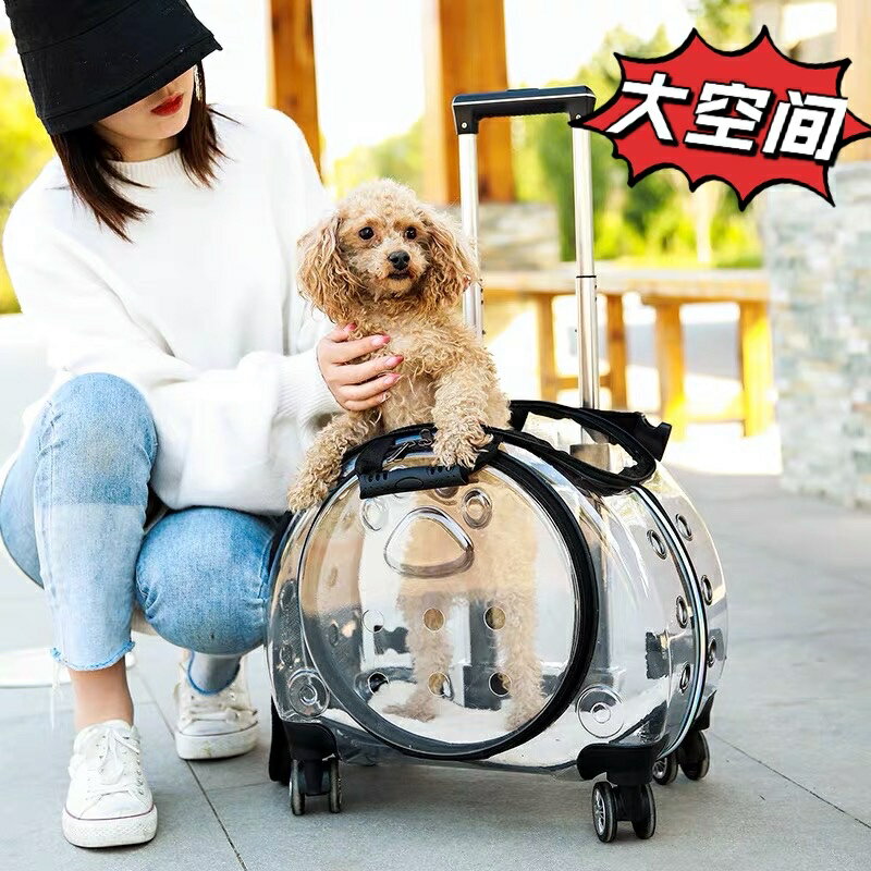 貓包拉桿箱寵物外出攜帶包透明加大狗出門行李箱貓咪揹包背拉兩用