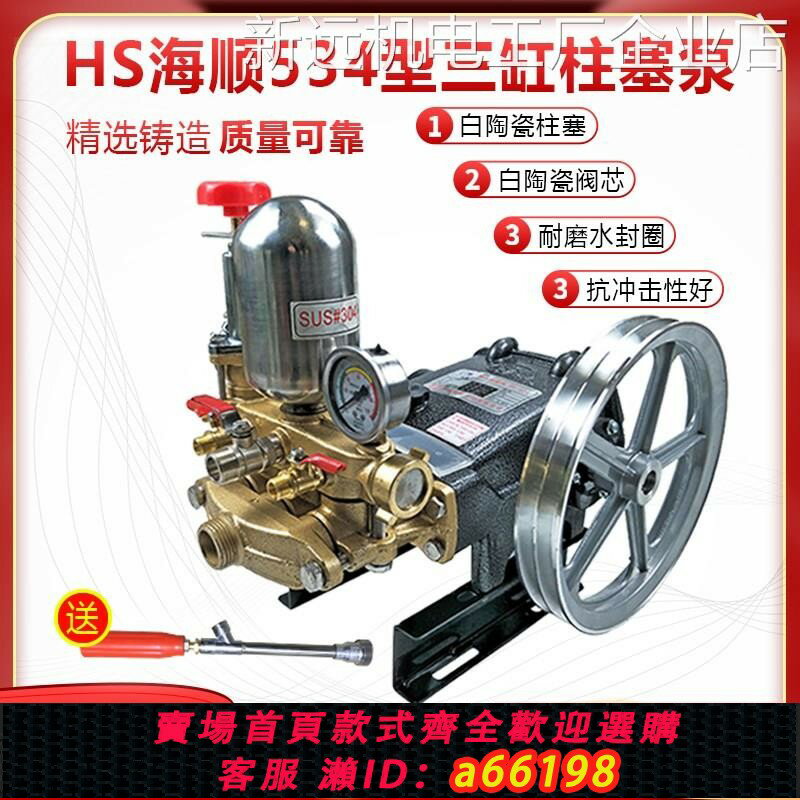 【臺灣公司 可開發票】*HS534型三缸柱塞泵霧機30高壓打藥噴霧器524陶瓷免黃油動力噴HS5