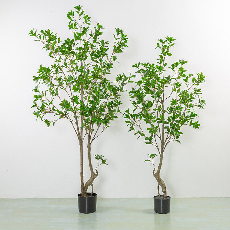 模擬綠植 發財樹 仿真植物 盆栽 盆景熱銷仿真植物假綠植馬醉木盆栽 家居室內大型落地模擬樹盆景擺件