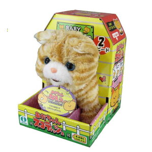 《日本 IWAYA》 甜甜屋 蘇格蘭折耳貓 東喬精品百貨
