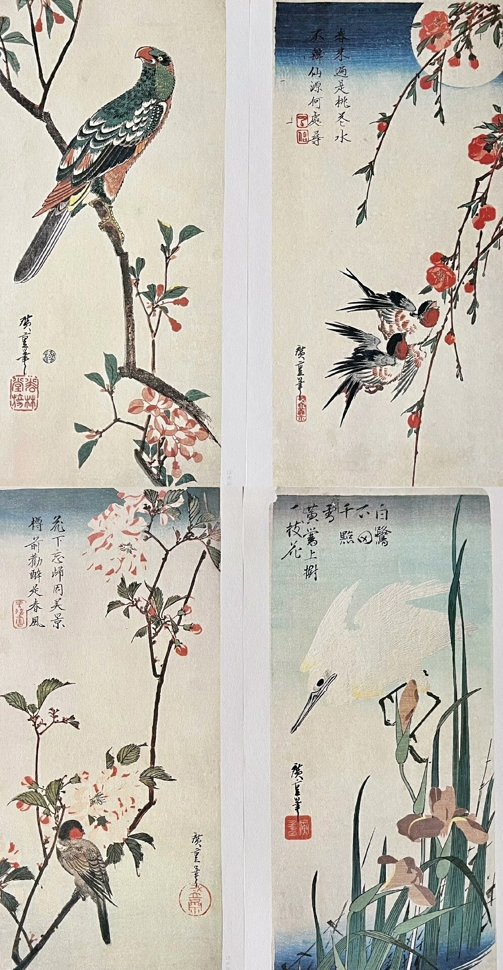 日本浮世繪大名家歌川廣重作花鳥畫讀賣新聞出品| Seven柒柒家