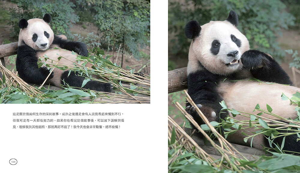 全知福寶視角：小爺爺宋寶眼中的福寶幸福肥日常（首刷限量贈：拍 8