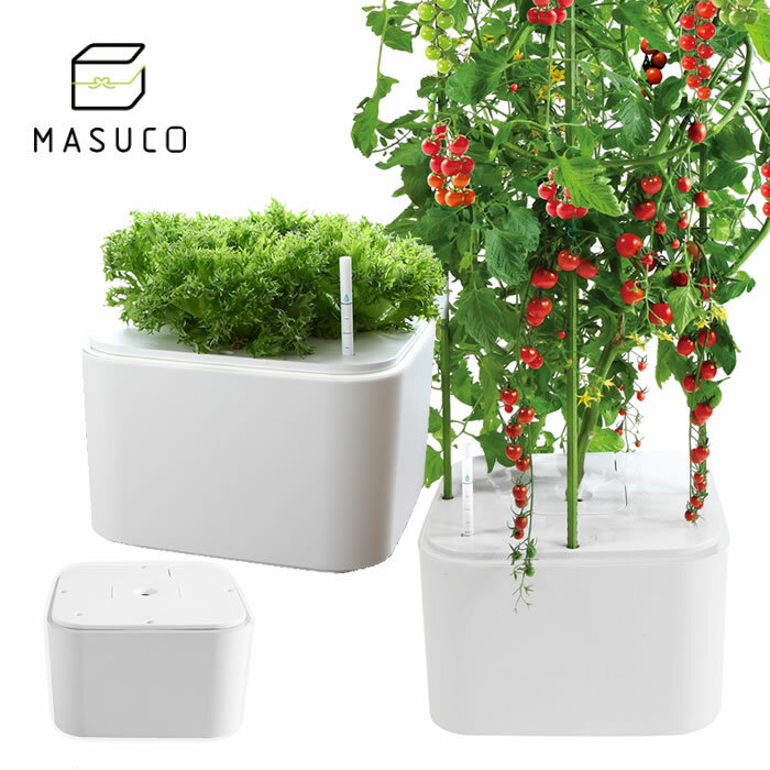 日本代購 MASUCO 日本製 水耕栽培機 水耕機 種菜機 種植機 葉菜 果菜 蔬果 無土栽培 水培 家庭菜園