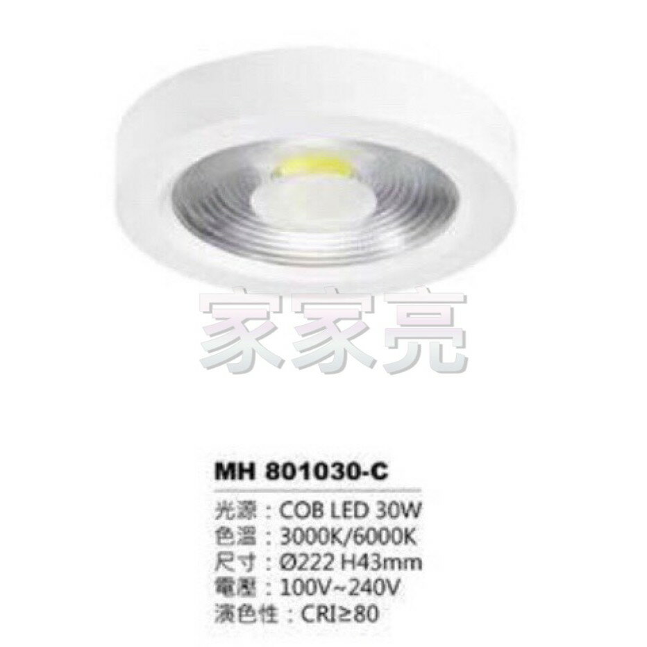(A Light) MARCH LED 30W 筒燈 白光 黃光 吸頂筒燈 30瓦 MH 801030-C