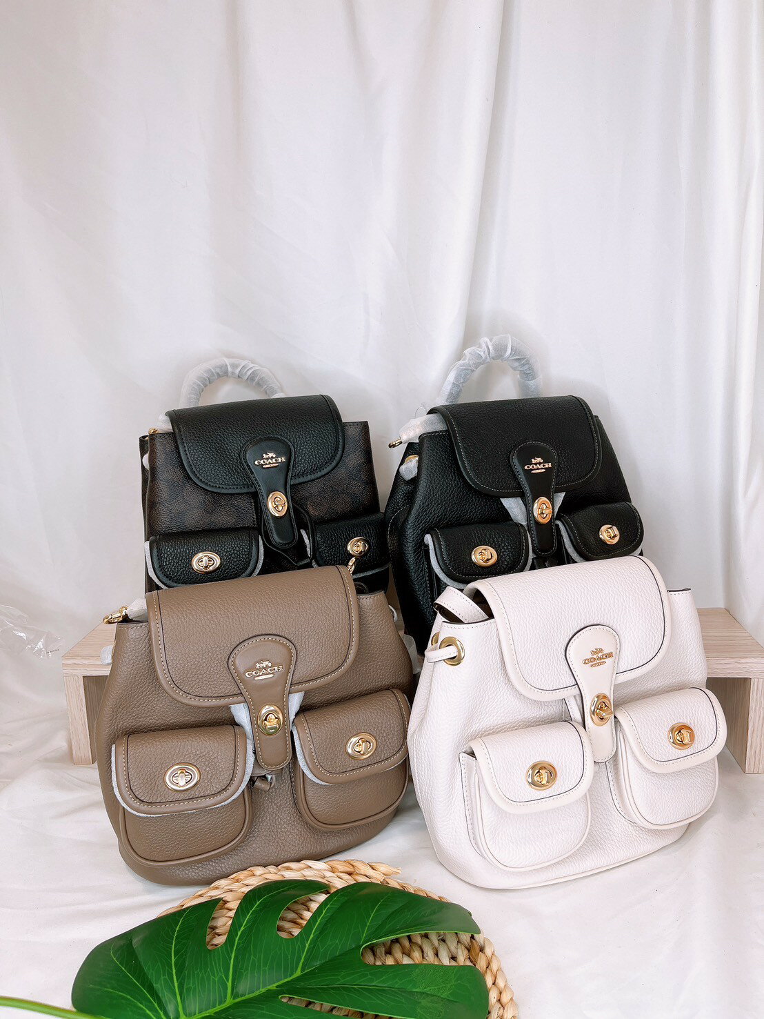 美國代購🇺🇸台灣現貨 Coach Hadley 小後背