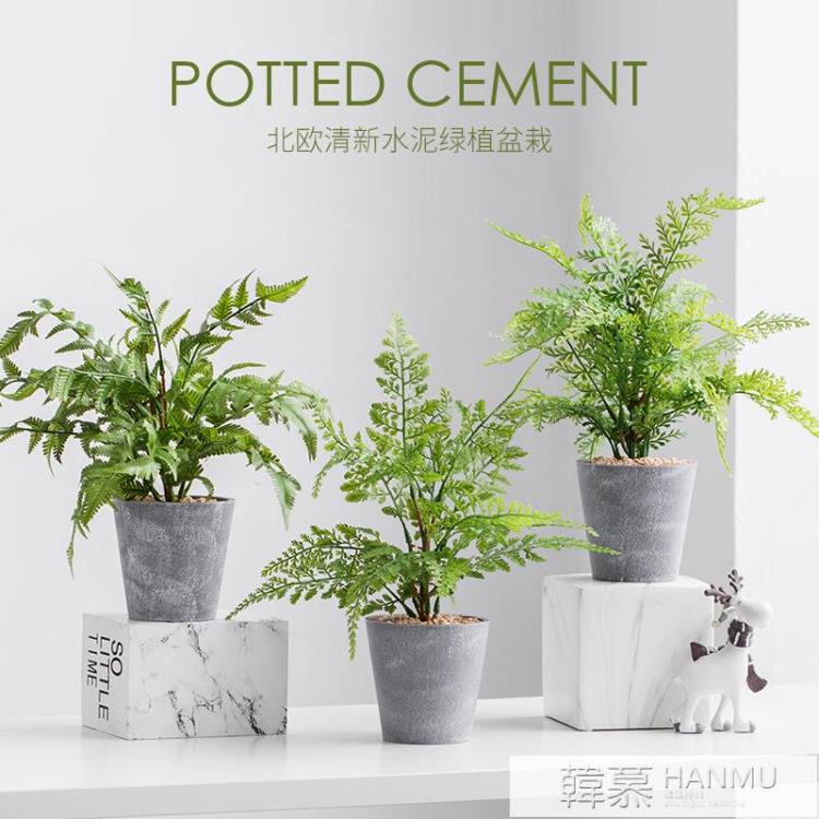 北歐綠植仿真龜背葉假花裝飾小盆栽假盆景植物客廳辦公室桌面擺件 YTL 免運開發票