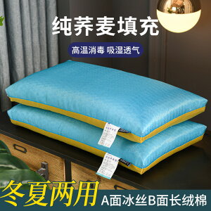 全蕎麥殼填充枕頭芯夏季冰絲冬季長絨棉四季可用正反面雙用助睡眠