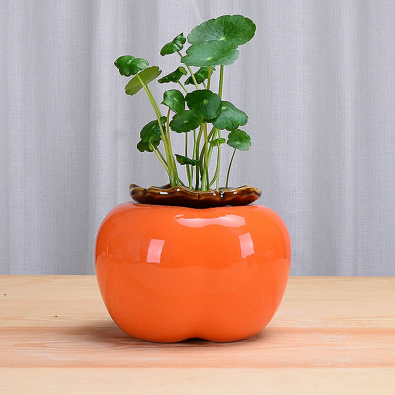 創意柿子花瓶水養綠蘿水培花盆陶瓷柿柿如意北歐客廳桌面裝飾擺件