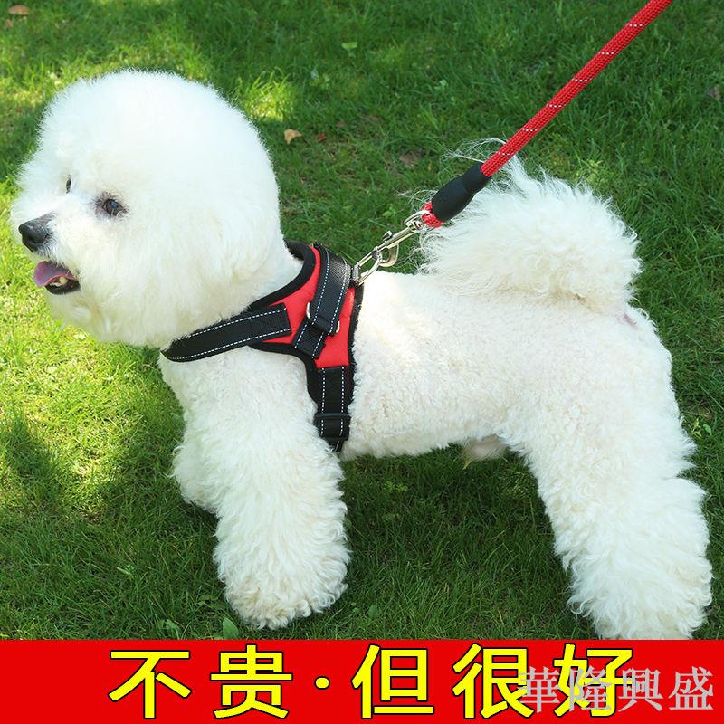 狗狗牽引繩胸背帶金毛柯基泰迪小型犬狗鏈子遛狗牽引繩柯基狗