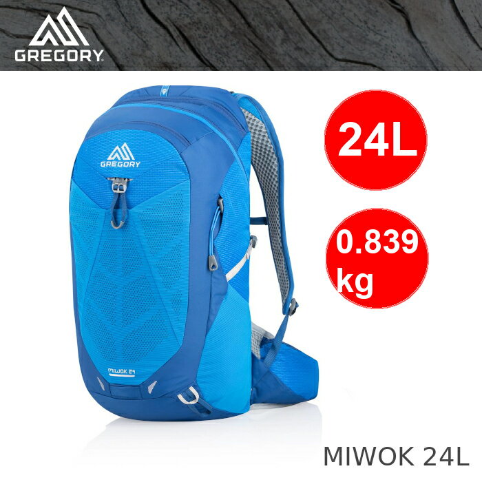 gregory miwok 24l backpack