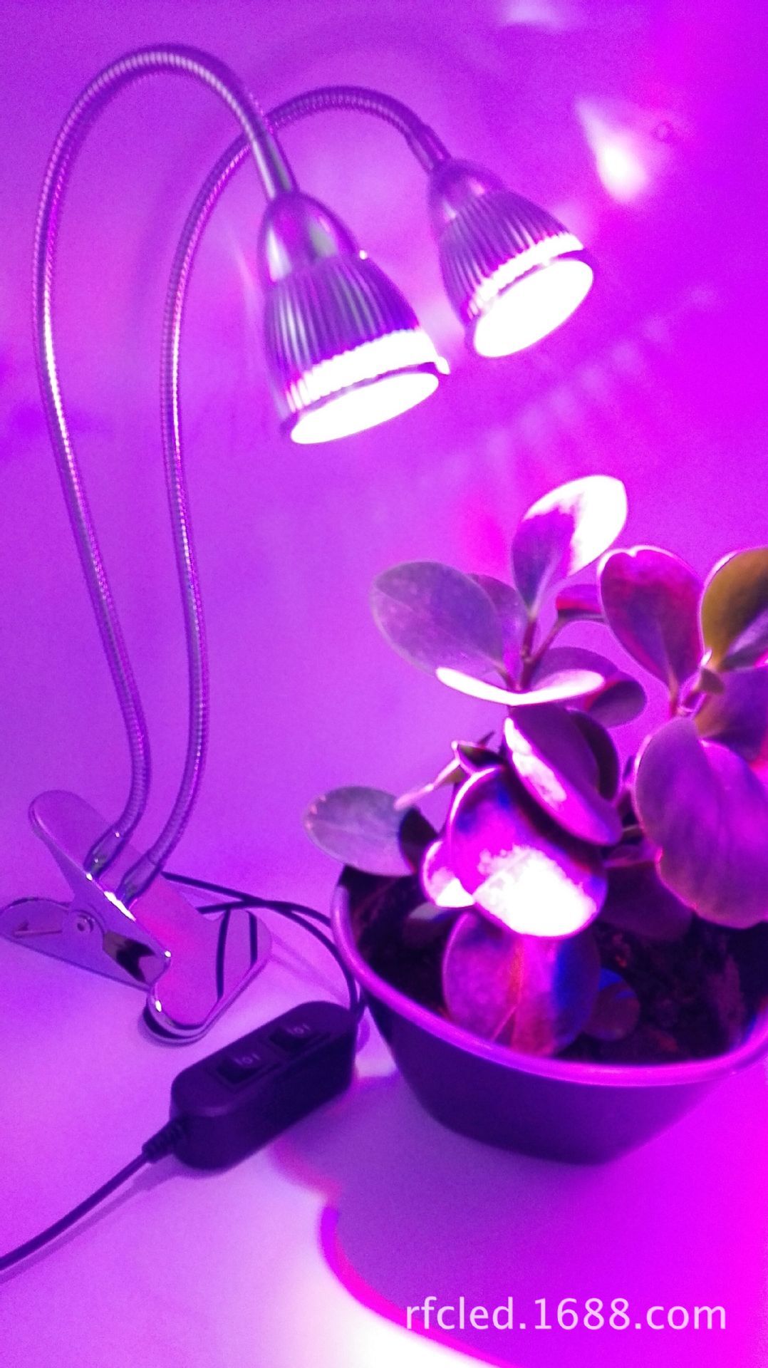 LED植物燈 10W夾燈 植物燈 5w*2雙頭軟管 植物補光燈 家用植物生長燈 盆栽燈 多肉燈 生長燈