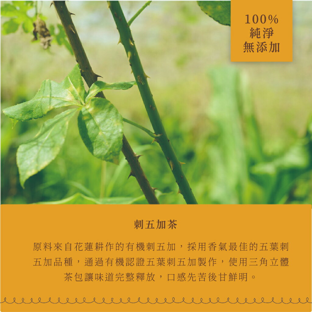 有機刺五加茶18入⎪淺草堂直營店⎪純天然無添加 3