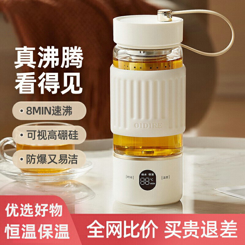 電熱水杯 電熱杯燒水壺養生壺便攜式熱水杯保溫迷你小型旅行燉煮養生杯 三木優選