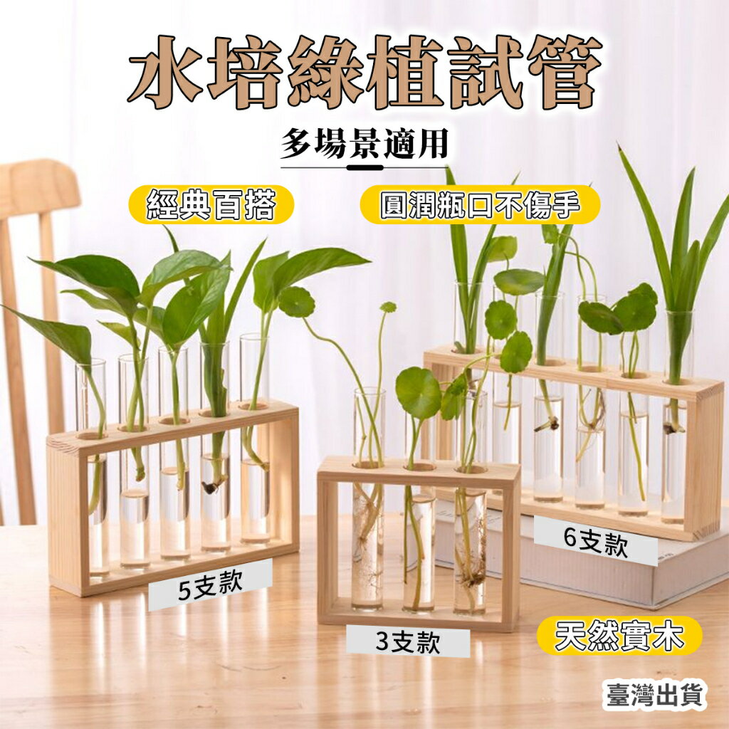 試管花瓶 試管架 試管 試管瓶 花瓶 花瓶擺件 玻璃試管 水耕植物 水培玻璃瓶 玻璃花瓶 木試管架 水植物容器