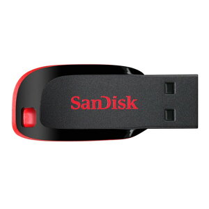 SanDisk Cruzer CZ50 USB 2.0 隨身碟 16GB 16G (公司貨)【中壢NOVA-水世界】
