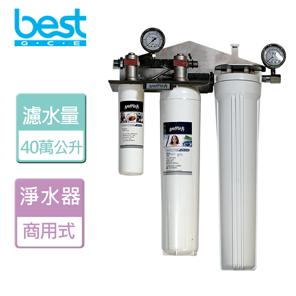 【BEST 貝斯特】商用型單進單出大流量生飲淨水器-無安裝服務 (WF-5100)