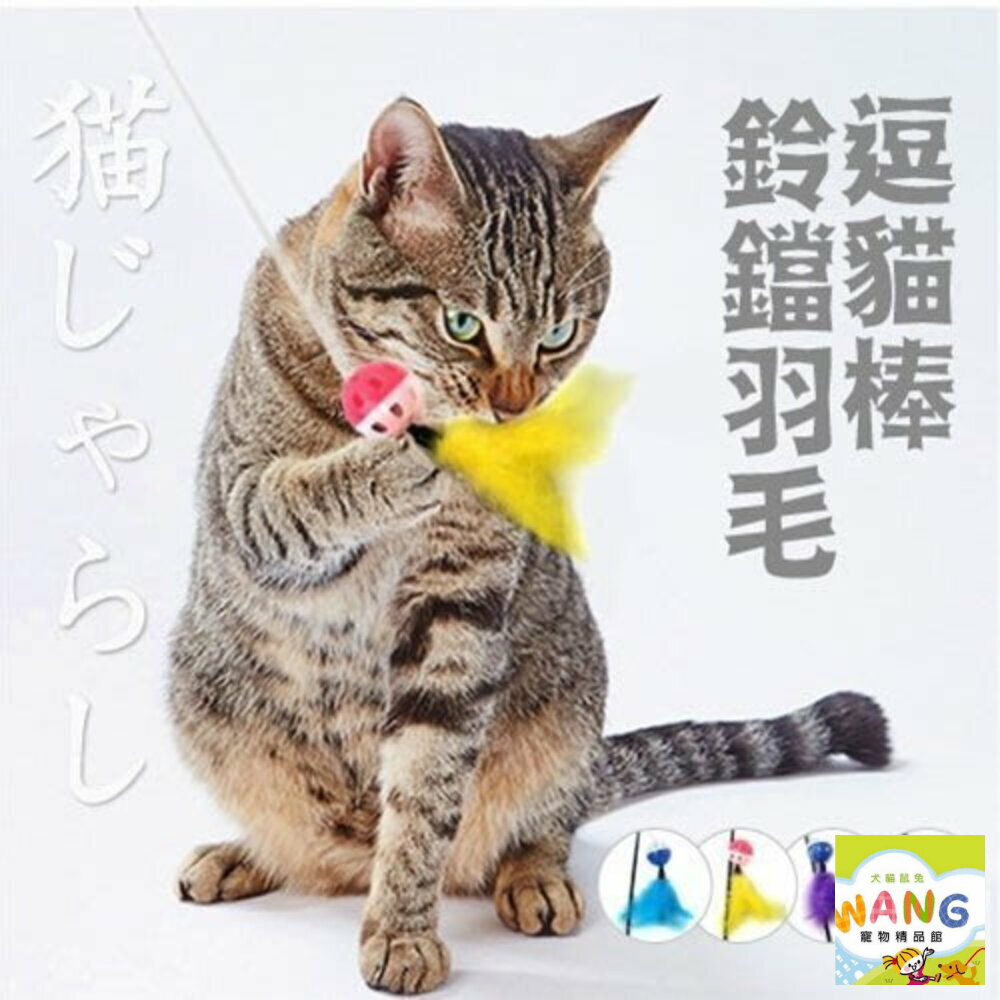 日本 icat 寵喵樂 黑桿鈴鐺毛球逗猫棒 1001 逗貓棒『🐶🐱Ayumi』【全館滿額現抵450★週五10%點數回饋!!】請注意 部分出貨時間較長