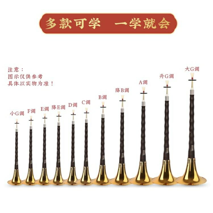 嗩吶 鳳鳴嗩吶樂器全套烏木黑檀木專業演奏考級d調初學者入門喇叭