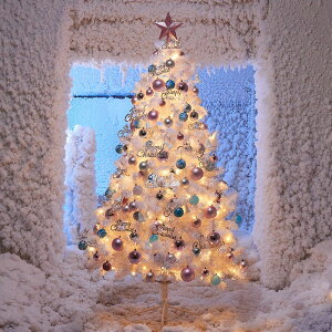 聖誕樹 白色圣誕樹套餐ins網紅直播間1.5m1.8m商用圣誕節裝飾品加密家用