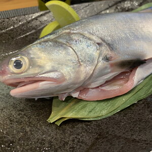 【有魚生鮮】野生午仔魚 275g