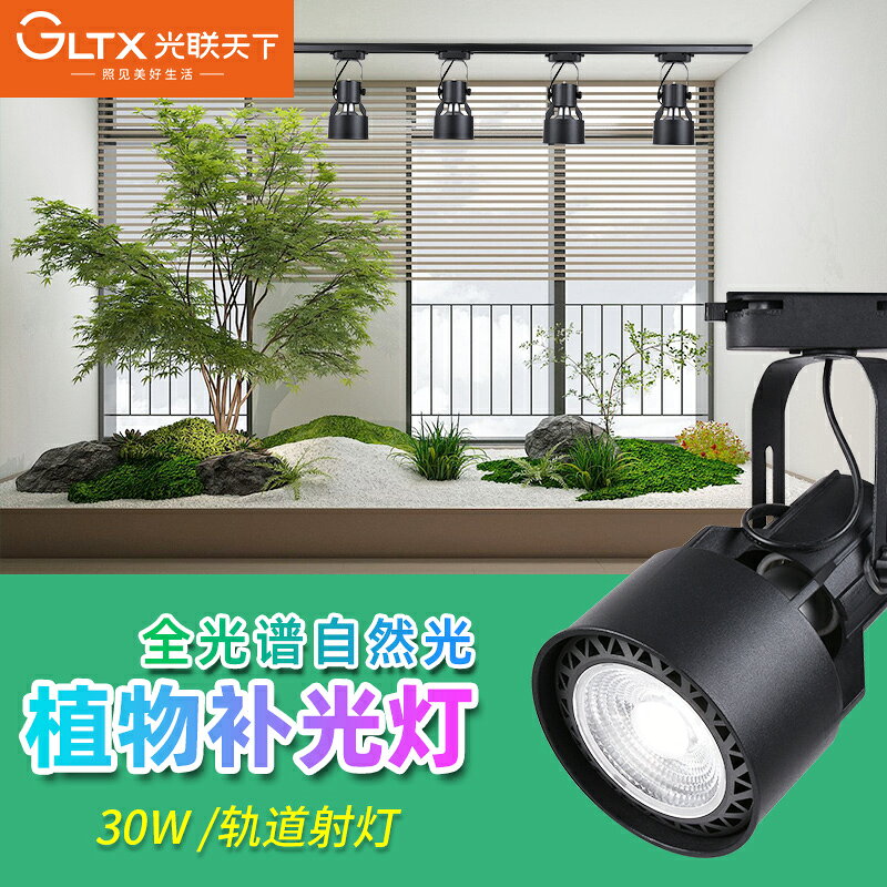 下30W植物生長燈LED軌道射燈全光譜自然光綠植景觀墻補光燈