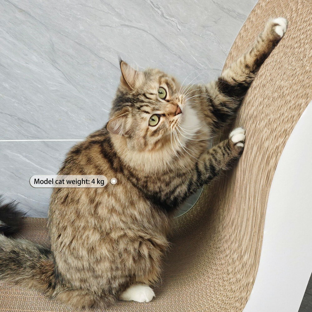 【台灣現貨】加高加大貓抓板 椅子磨爪板 貓抓神器 加強耐用耐磨 白色貓咪睡椅子 3