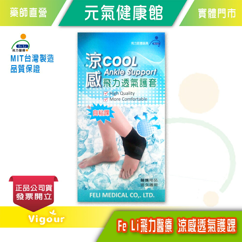 元氣健康館 Fe Li 飛力醫療 涼感透氣護踝 單入(Free Size)
