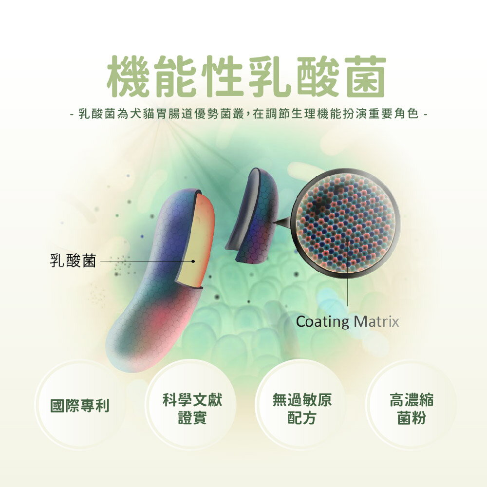 金牌鏟屎官 藍藻益生菌膠囊-天然全方位營養補充 30粒／瓶 貓咪 狗狗 5