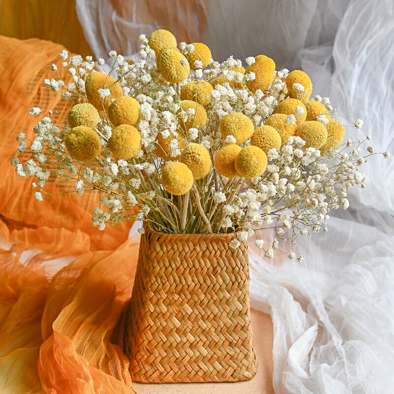 黃金球金槌花干花花束裝飾擺件真花插花干燥永生花尤加利葉滿天星