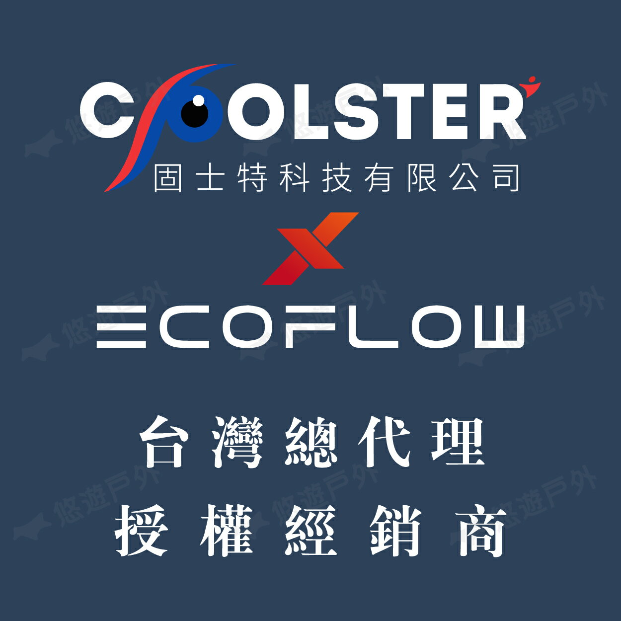 【EcoFlow】Delta 2 戶外儲能電源 EFD330 移動電源 電池 戶外電源 停電應急 輕量 露營 悠遊戶外 7