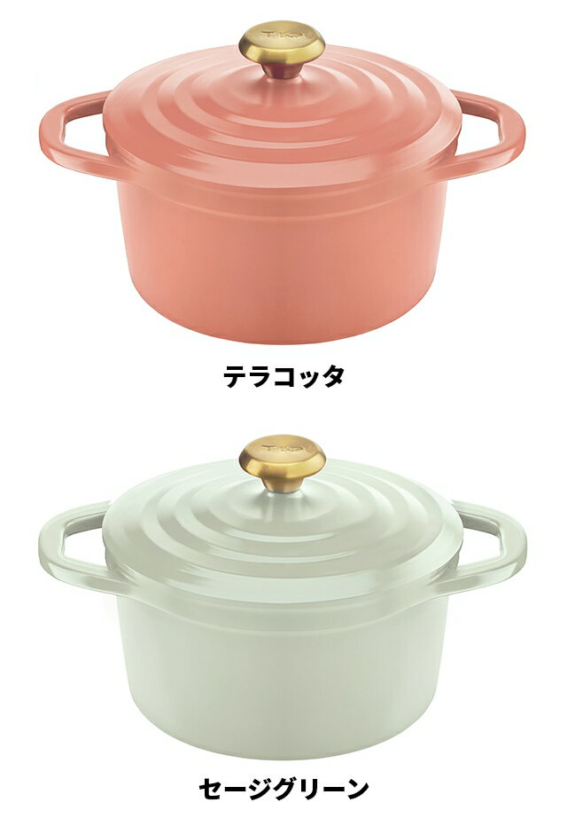 免運新款 日本公司貨 T-fal 法國特福 24cm 輕量 法式燉鍋 4.9L 鋁鍋 雙耳湯鍋 無水鍋 電磁爐可用 可進烤