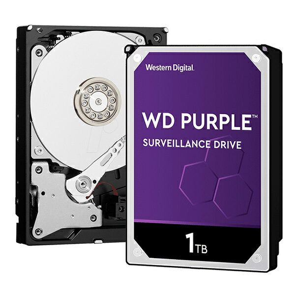 【彩盒公司貨3年保】WD Purple 1TB 紫標監控碟 紫標硬碟 紫標1TB【APP下單最高22%回饋】