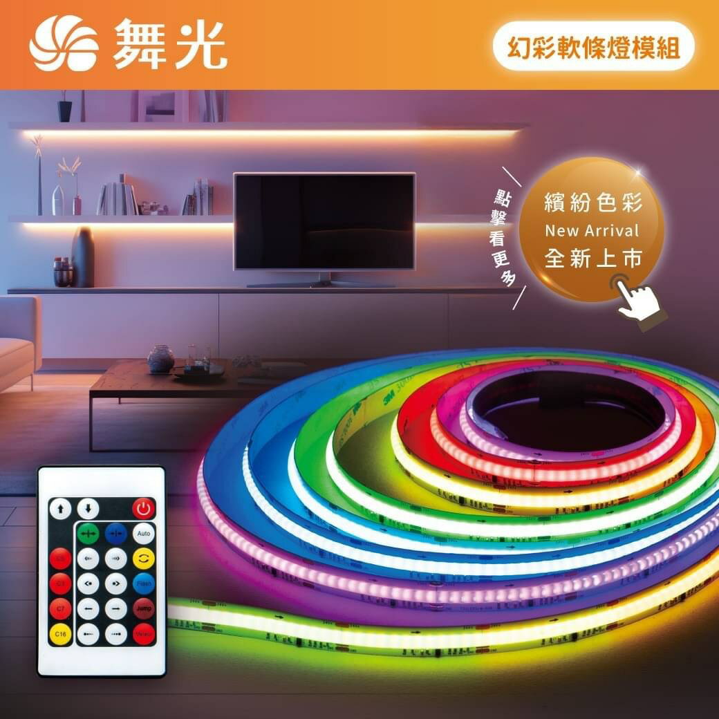 舞光 LED 幻彩COB軟條燈 附控制器、遙控器 DC24V 變化模式超過100種 光影魔法 軟條燈 變壓器另購 1