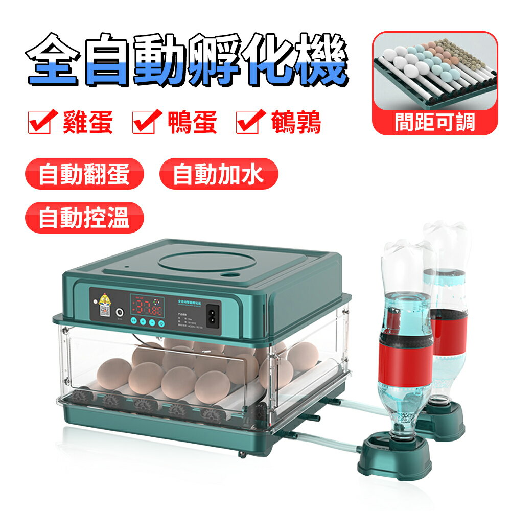 台灣現貨 110V小雞孵化器12枚可用電瓶 小型家用孵化機 全自動智能孵蛋機 大型雞苗孵化箱