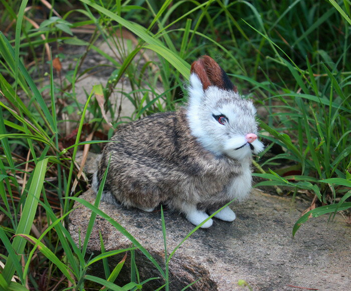 仿真小白兔真仿皮可選中臥兔 寵物玩具攝影道具教學動物模型包郵