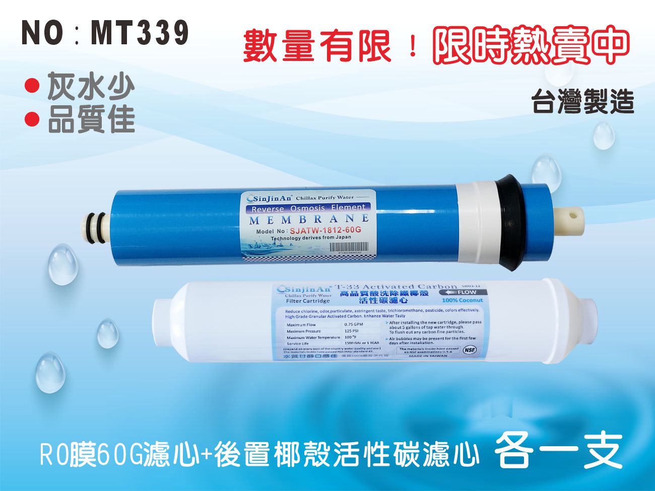 【龍門淨水】 RO 機濾心2支組60G-1812-RO膜+ST-椰殼活性碳濾心 RO純水機用【台灣製造】(MT339)