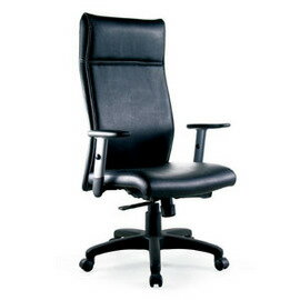 TP-01 高背透氣皮 高級 辦公椅 / 張