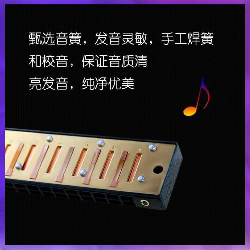 ✅FEIFAN飛繁廠家直銷24孔金屬c調復音口琴學生初學者成人樂器【北歐家居生活】