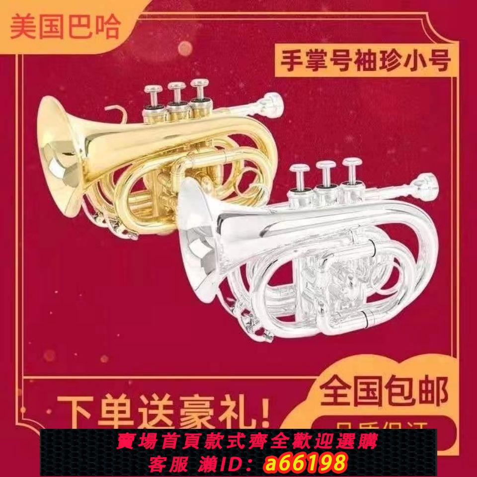 【臺灣公司 可開發票】降B調手掌號袖珍小號 降B調 鍍銀黃銅 小號樂器初學考級