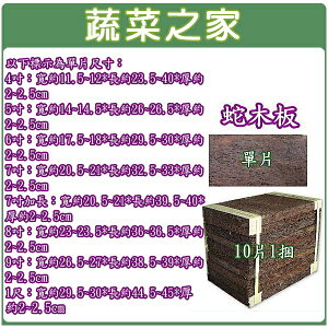 【蔬菜之家】蛇木板(單片裝、10片/捆) (7種規格可選)