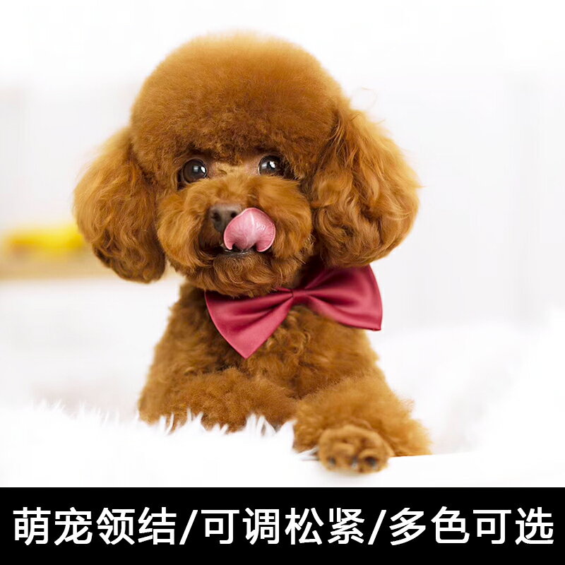 寵物狗狗貓咪蝴蝶領結紅色飾品小型犬結婚禮紳士領帶泰迪比熊配飾