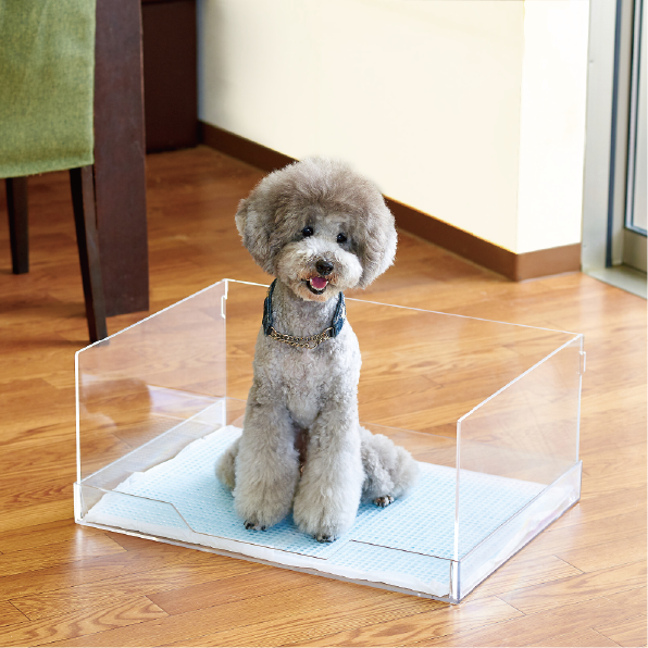 狗狗透明廁所套組(S/M/L/犬用品)