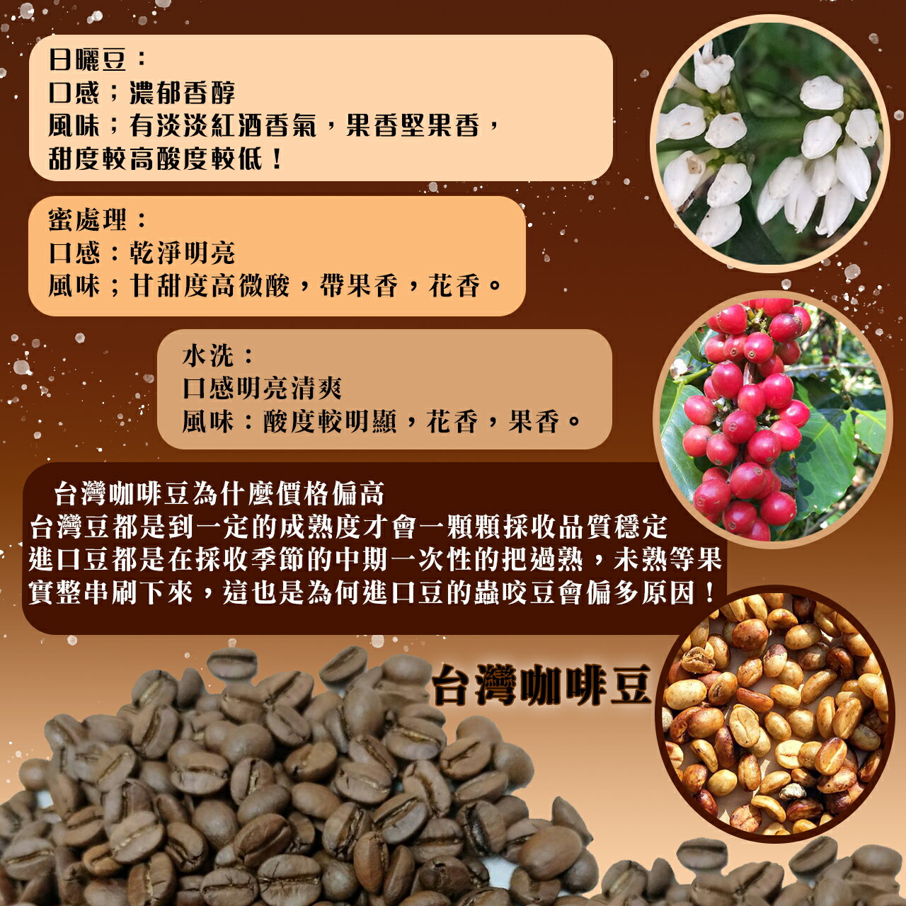 霧豆】 阿里山阿拉比卡日曬咖啡豆半磅227g/一磅454g(下單後烘培) | KLEVER直營店| 樂天市場Rakuten