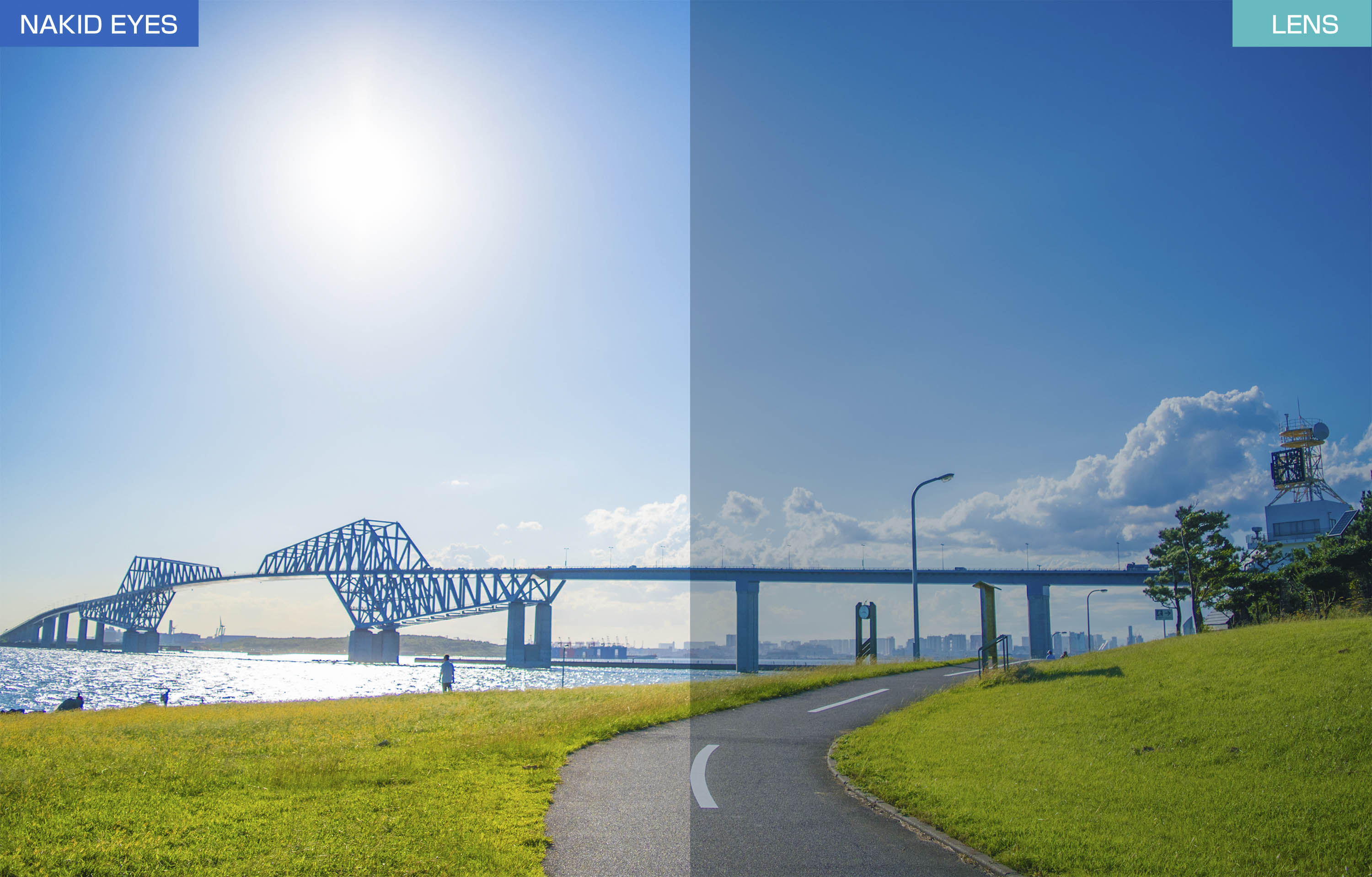 【Airfly】AF301-C3L 無鼻墊運動太陽眼鏡 加大尺寸 經典黑 3